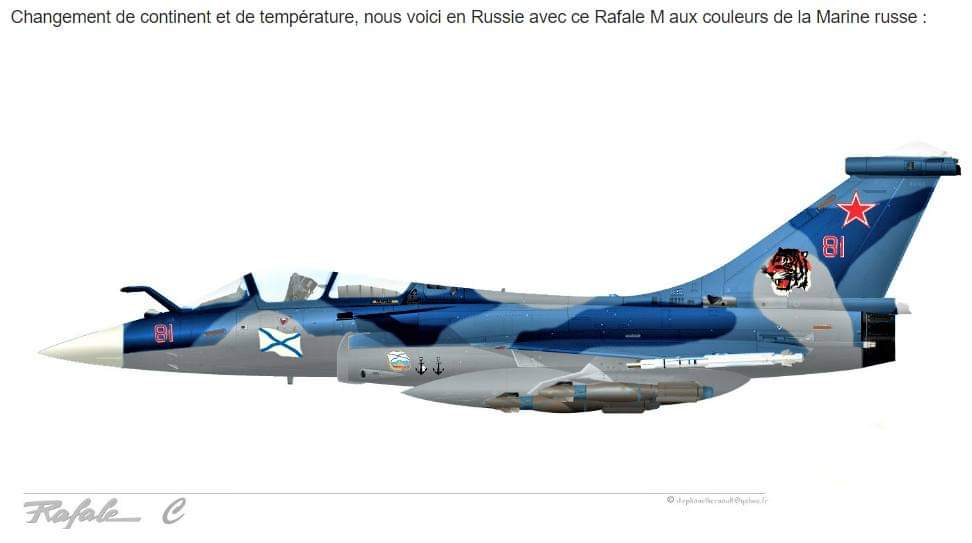 [Article] DASSAULT RAFALE (Terminé) - Page 6 Fb_img24