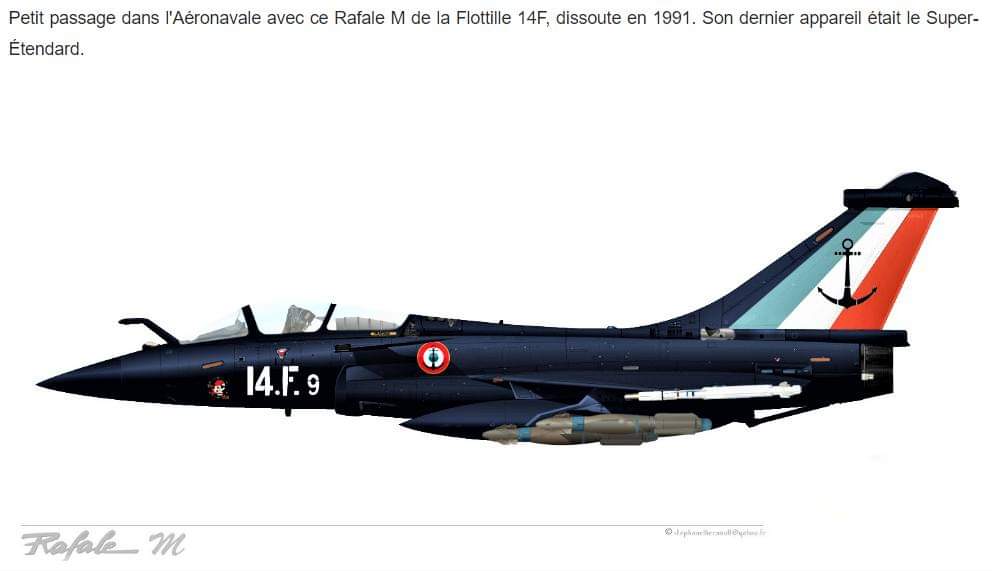 [Article] DASSAULT RAFALE (Terminé) - Page 6 Fb_img29