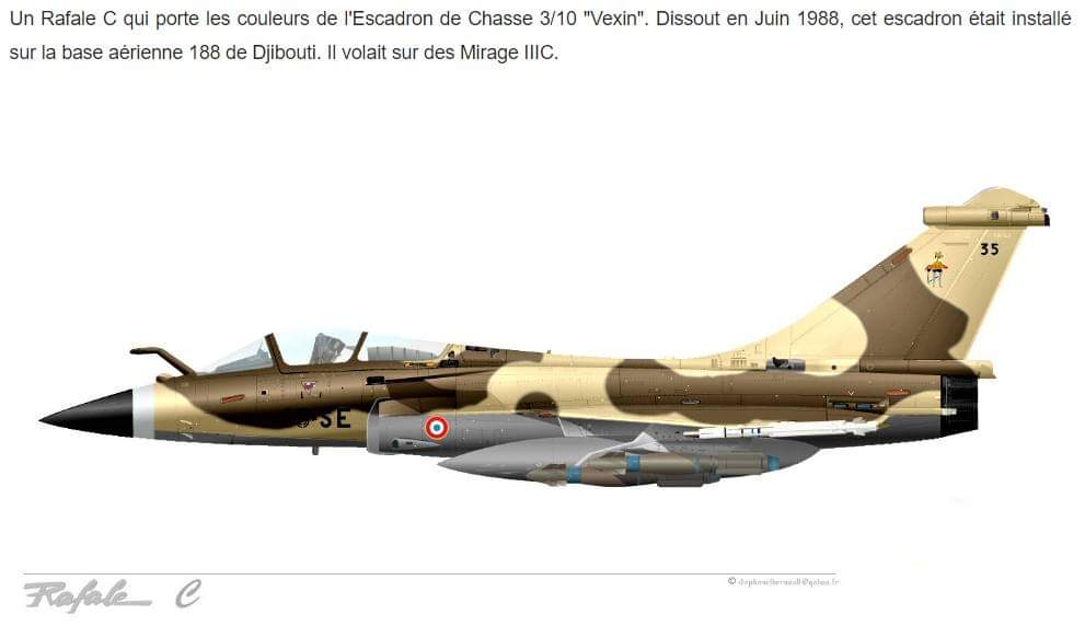 [Article] DASSAULT RAFALE (Terminé) - Page 6 Fb_img30