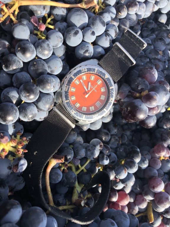 Eterna Kontiki Sonic D882ca10