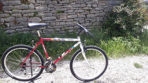 Giant terrago 1990 sale