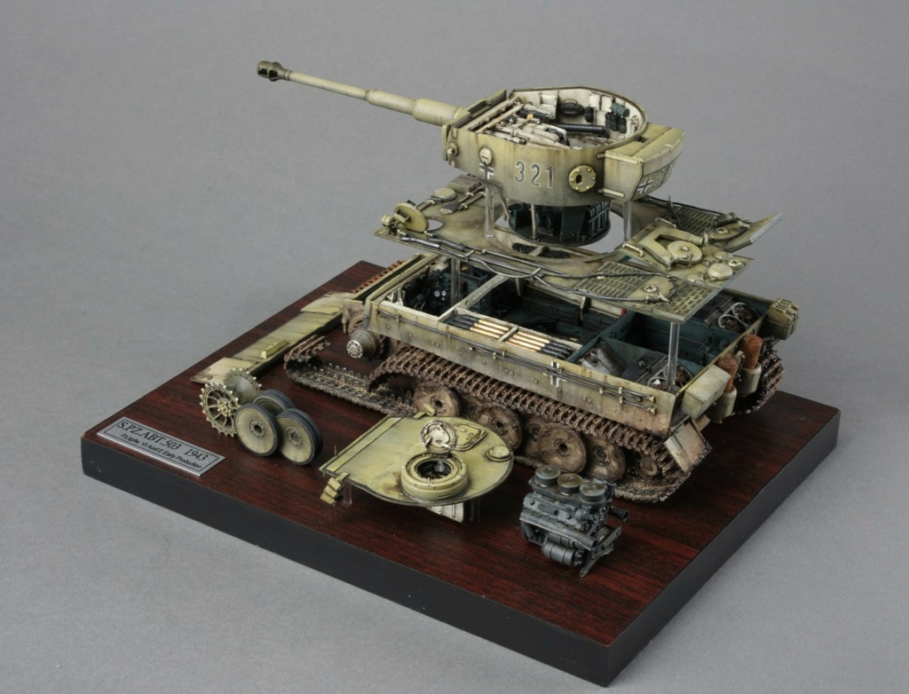 Panther Ausf.D Takom 1/35ième 310