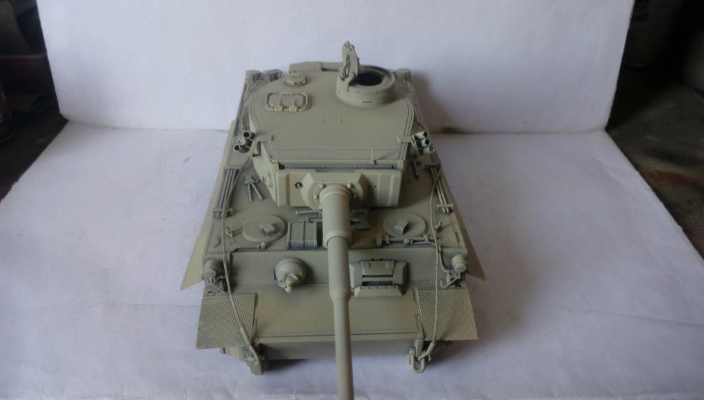 Tigre I Early Production RFM 1/35ième Tunisie 1943 Imag3717