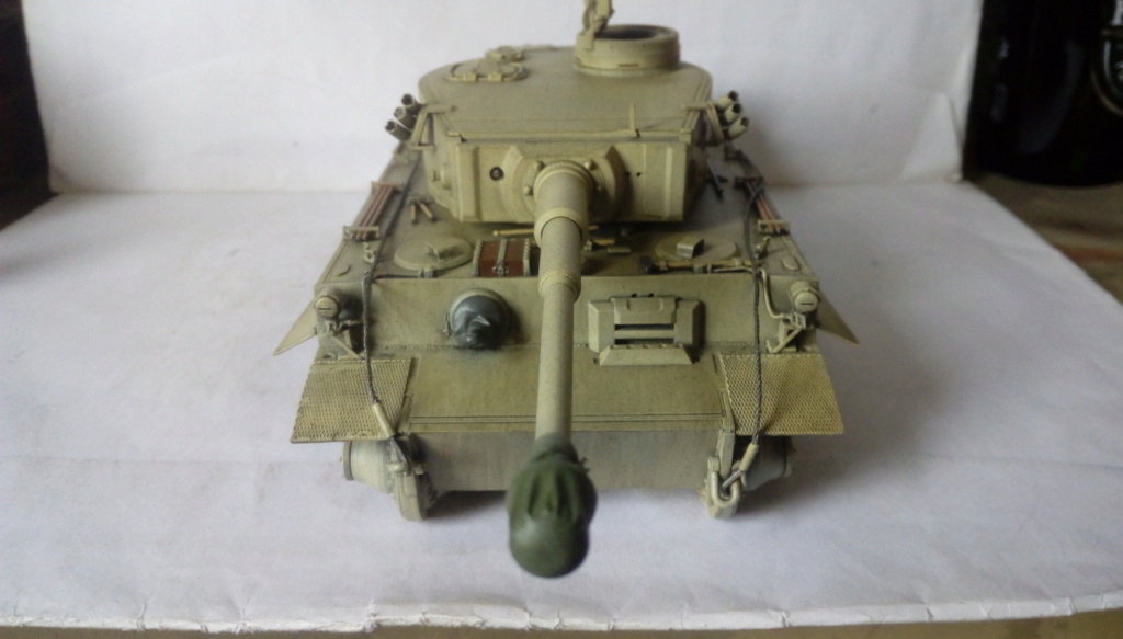 Tigre I Early Production RFM 1/35ième Tunisie 1943 Imag3732