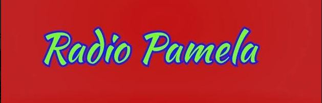 eQSL de radio Pamela Pamela12