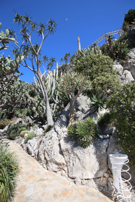 (Monaco) - Jardin exotique de Monaco  Img_3526