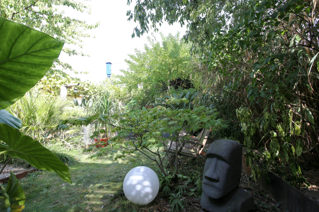 Gaëtan - Quelques ambiances de mon jardin Img_5222
