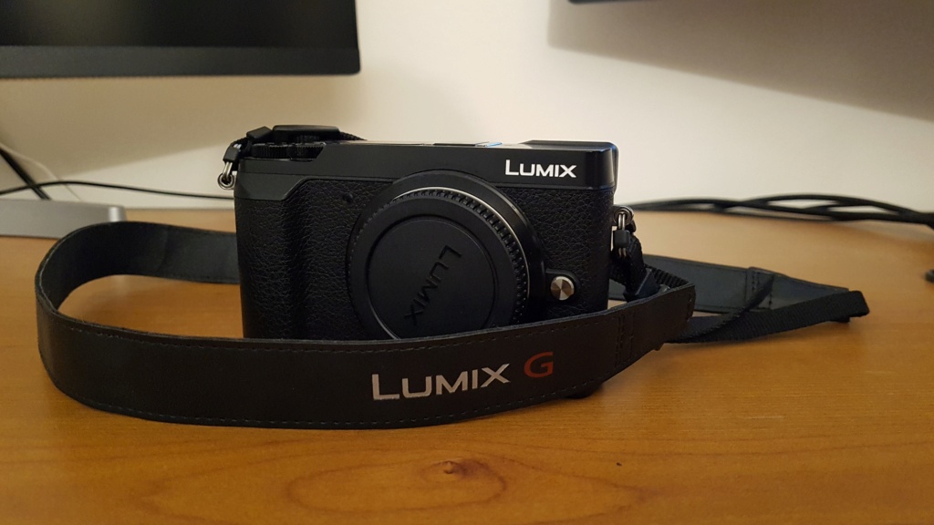 [Vendu]Panasonic Lumix GX80 seul Lumix110