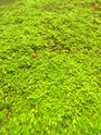 CO2 Sodastream Img_0825