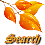 Rechercher