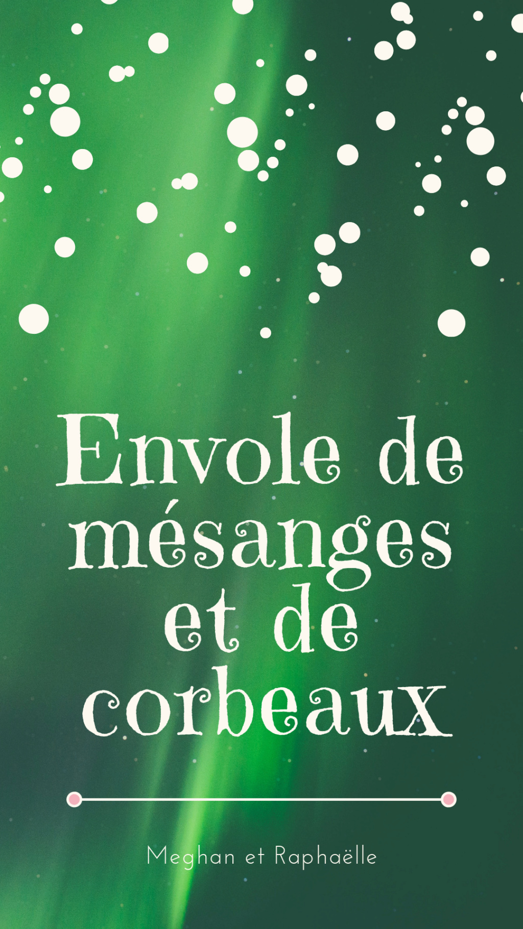 Couverture Envole11