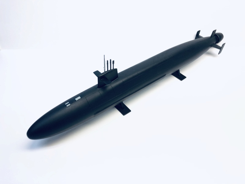 [HOBBYBOSS] Sous-marin nucléaire lanceurs d engins TRIOMPHANT Réf 83518 Img_e442