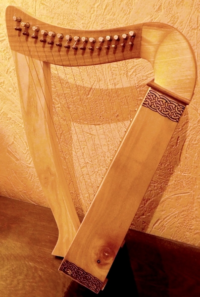 Micro-harpe Dscn7925