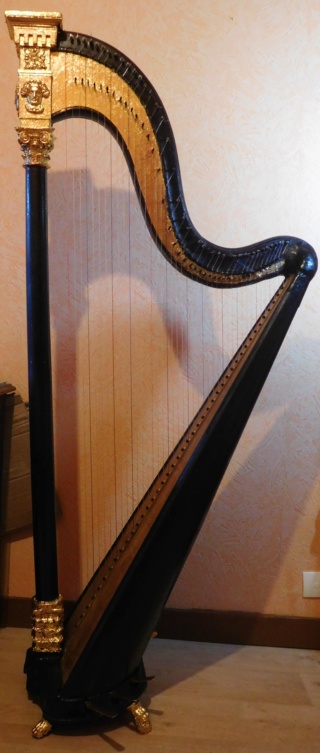Encore une nouvelle dans ma famille de harpes ! - Page 3 Dscn8615