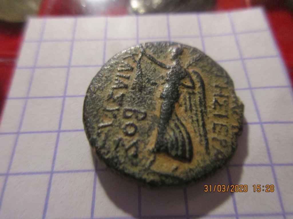 Bronze colonial d'Apamée en Syrie sous Tibère ... Img_0415