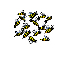 Novaparadiedemundi 33669111