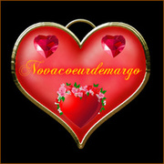 Novaparadiedemundi Logo_c11