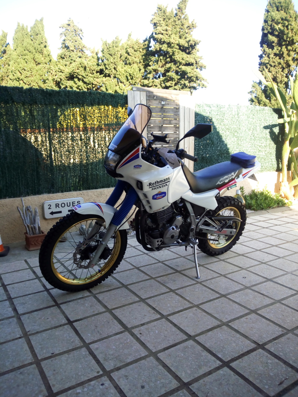 Honda 650 NX et CX 500 Img_2082