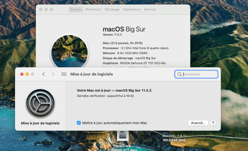 Mise à jour macOS Big Sur 11.5.2 ( 20G95 ) Captur60