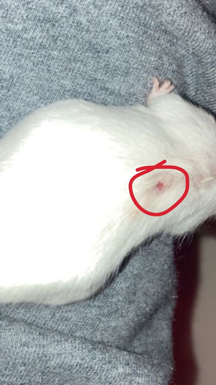is my mouse ok? C4aae710