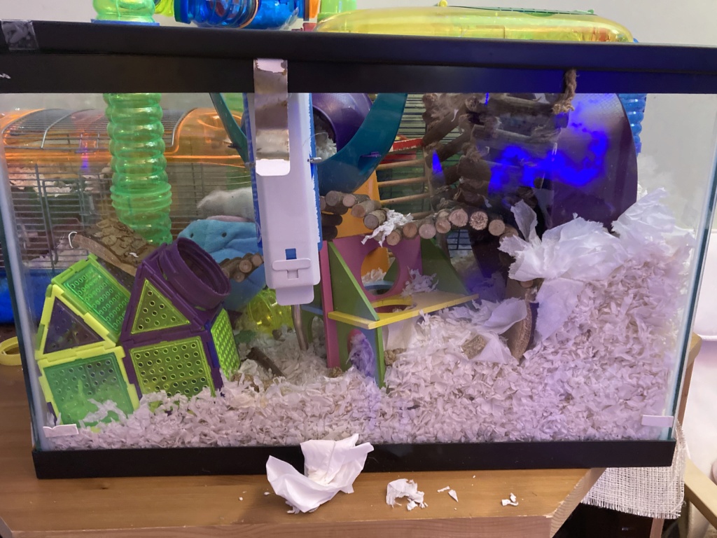 is my mouse ok? D69eb510