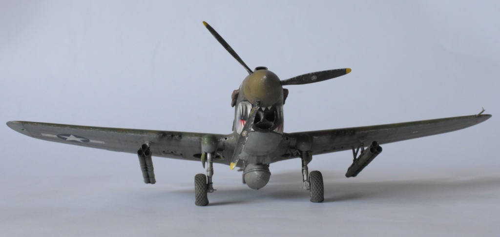 P 40 N Warhawk Eduard au 1/48 Dsc_0333