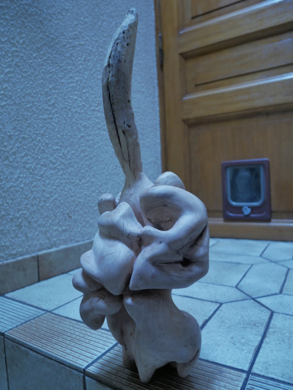 Xorion Sculpture : l'esprit de la nature. P1000025