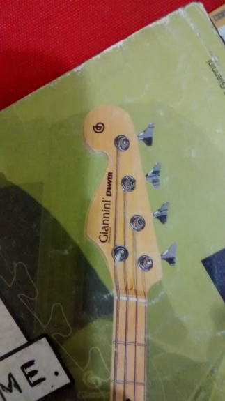 Giannini Power Bass (busca sem fim) Gianni17