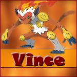 Kit pour Vince Vince_10