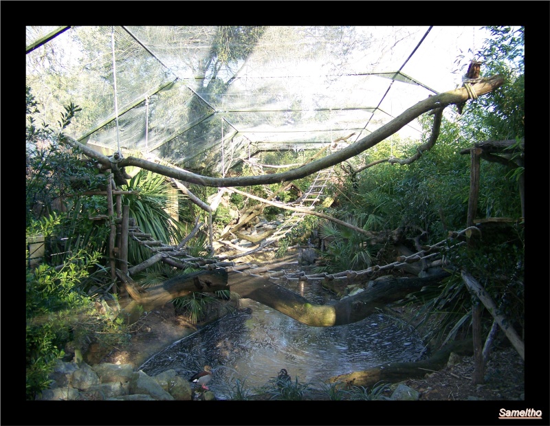 Le zoo de la fleche La_fle38