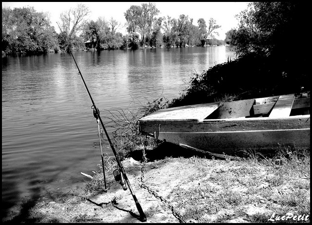 Bateau.. Bateau10