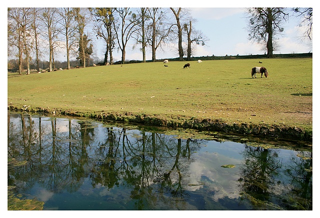 Petite série reflet Test0010