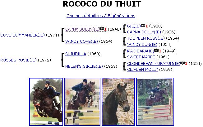 Rococo du Thuit Rrrrr10