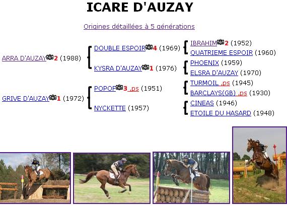 Icare d'Auzay Sans_t18