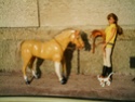 [BARBIE] Une partie de mes Barbies p1 et surtout mes CHEVAUX ! Cheval17