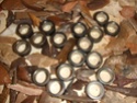 Bagues de calibrage etuis metal Black Powder Dscf4611
