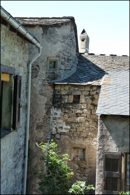 Barre des Cévennes. P1090020