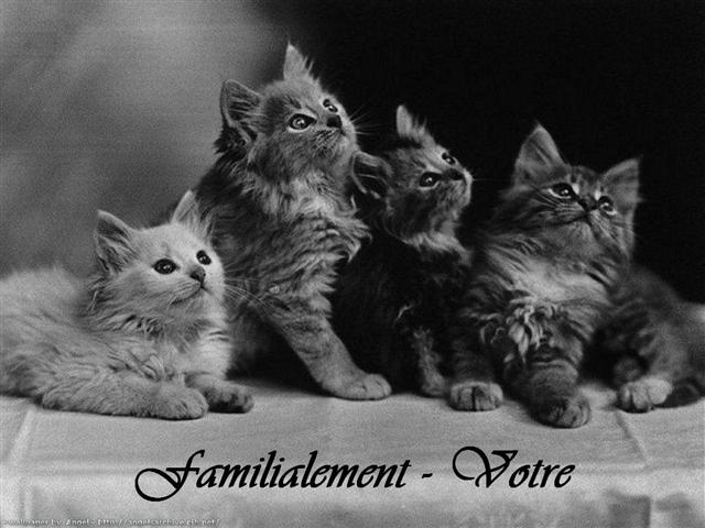 familialement votre