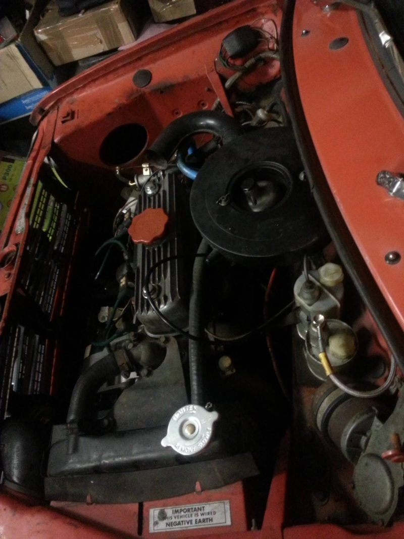 1275 GT '74 Bip-Bip + The Turtle Clubby '78 ! - Page 3 10489910