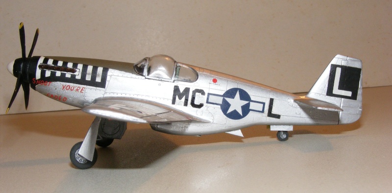 [Revell] P-51B (2) 2007_111