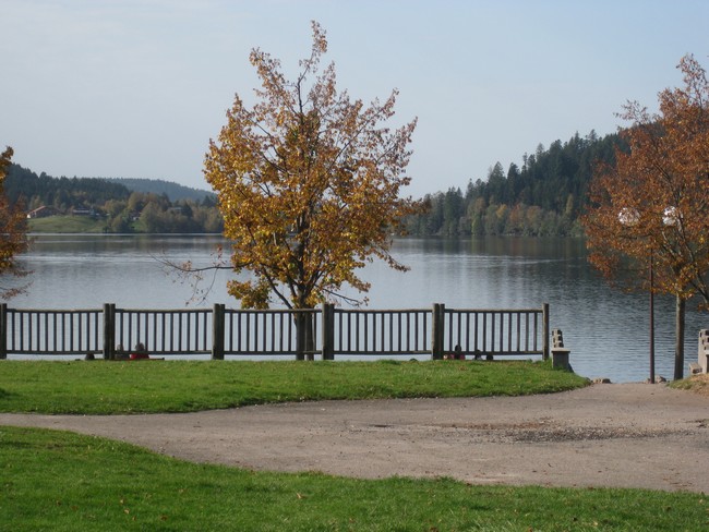 Promenade du dimanche 00910