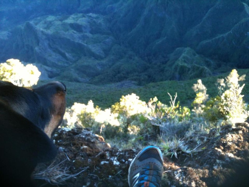 Un ptit coucou de la Réunion 48009210