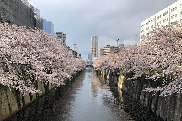 21 22  JUILLET 2021 JOURS DU RELAIS DE LA FLAMME OLYMPIQUE DE TOKYO  A TOKYO Meguro10