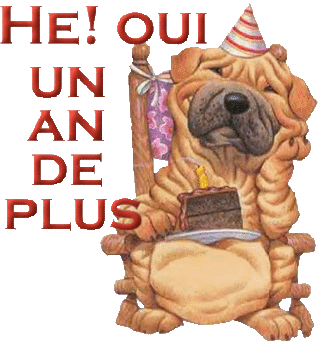 Bon anniversaire - Page 3 1swrng10