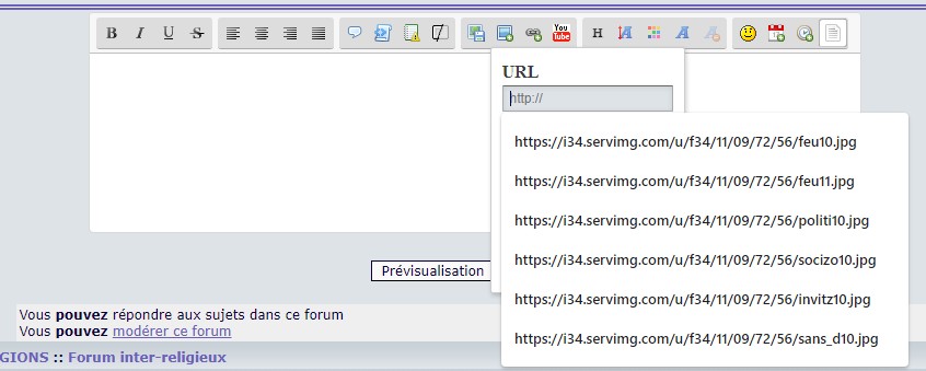 Je n'arrive pas à insérer les images - Page 2 Fichie12