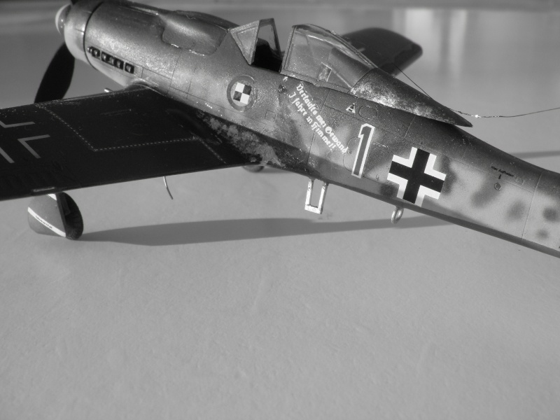 Fw-190 D9 Papagei Staffel Rote 1 Academy Dsc01610