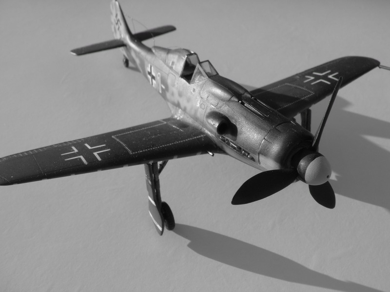 Fw-190 D9 Papagei Staffel Rote 1 Academy Dsc01611