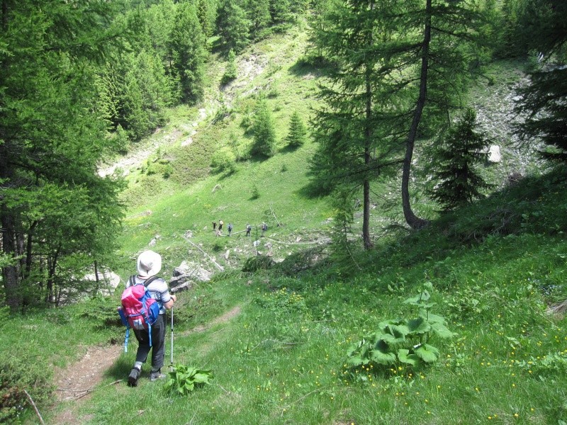 Pas d'eaux tortes mais l'abbaye du  Laverq- Méolans par le col de Séolane Seolan54