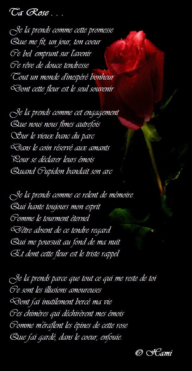 Ta rose de Hami ... La_ros10