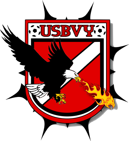 Commande Logo pour US BOUSSY-ST-ANTOINE (15.01.2008) (pza) Fin28